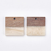 Resin & Walnut Wood Pendants RESI-T023-19A-2