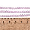 Natural Kunzite Beads Strands G-G259-D11-3mm-01-3