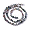 Natural Indian Agate Beads Strands G-F596-31-2