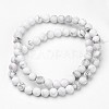 Natural Howlite Beads Strands G-D809-16-6mm-2