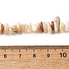 Natural Shell Beads Strands BSHE-G029-01B-5