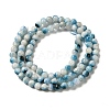 Natural Blue Ice Glacierite Stone Beads Strands G-G078-A01-05-2
