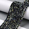 Electroplate Glass Beads Strands GLAA-H021-01B-HP03-3