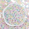Glass Seed Beads SEED-K010-03M-3