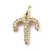 Brass Micro Pave Cubic Zirconia Charms ZIRC-F131-16G-10-1