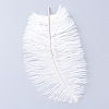Ostrich Feather Costume Accessories FIND-R036-C-16-1