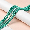 Natural Howlite Beads Strands G-C025-02B-02-2