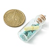 Wishing Bottle Glass Bottle Pendants PALLOY-JF02127-3
