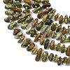 Natural Rhyolite Jasper Beads Strands G-F821-B01-01-4