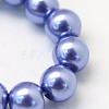 Baking Painted Pearlized Glass Pearl Round Bead Strands X-HY-Q003-6mm-09-3