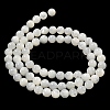 Natural Sea Shell Beads Strands SSHEL-K013-5.5mm-A-4