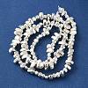 Electroplated Synthetic Non-magnetic Hematite Beads Strands G-I364-B01-S-2