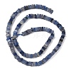 Natural Blue Aventurine Beads Strands G-A280-C08-01-4
