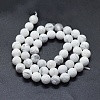 Natural Howlite Beads Strands G-D0013-65-2