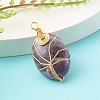 Natural & Synthetic Gemstone Wire Wrapped Pendants PALLOY-JF00744-6
