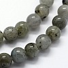 Natural Labradorite Beads Strands G-I199-15-4mm-3