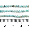 Natural HuBei Turquoise Beads Strands G-G792-38-01-4