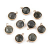 Natural Labradorite Charms G-Q998-026E-3