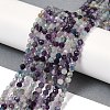 Natural Fluorite Beads Strands X-G-A252-A01-01-2