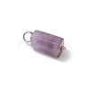 7Pcs 7 Styles Natural Rhodonite & Canadian Jade & Aquamarine & Amethyst & Apatite & Lapis Lazuli & Labradorite Pendants PALLOY-JF04180-4