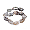 Natural Agate Beads Strands G-L547-006-3