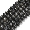 Natural Larvikite Beads Strands G-C280-B06-8mm-2