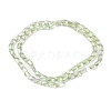 Transparent Electroplate Glass Beads Strands EGLA-I017-03-FR03-2