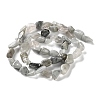 Natural Eagle Eye Stone Beads Strands G-P497-01C-14-3