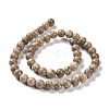 Natural Maifanite/Maifan Stone Beads Strands G-I187-6mm-01-8