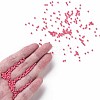 11/0 FGB Grade A Baking Paint Glass Seed Beads X-SEED-N001-A-1045-4