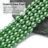 Eco-Friendly Glass Pearl Beads Strands HY-A008-14mm-RB008-3