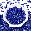 Baking Paint Pearlized Glass Seed Beads SEED-T008-03S-2