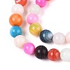 Freshwater Shell Beads Strands SHEL-T013-003-3