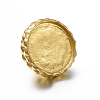 Autumn Theme Zinc Alloy Pendants PALLOY-D580-25G-2