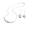 Natural Fluorite Chips Beaded Jewelry Set SJEW-JS01231-02-1