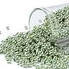 TOHO Round Seed Beads SEED-XTR08-PF0560-1