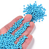 Baking Paint Glass Seed Beads SEED-S001-K10-4