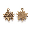 Tibetan Style Alloy Pendants TIBEP-A113357-AB-FF-2