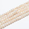 Natural Cultured Freshwater Pearl Beads Strands X-PEAR-L001-F-08-5