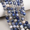 Natural Sodalite Beads Strands G-S279-10-8mm-8