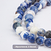 Natural Sodalite Round Beads Strands G-OC0001-91-3