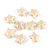Handmade Porcelain Beads PORC-Q002-03F-01-1