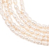Natural Cultured Freshwater Pearl Beads Strands PEAR-D003-01D-04-4