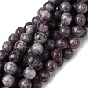 Natural Lepidolite Beads Strands G-G284-A02-8mm-2