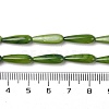 Natural Freshwater Shell Beads Strands SHEL-A004-03B-4