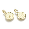 Alloy Pendants PALLOY-N157-004Z-NR-2
