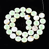 Natural Freshwater Shell Enamel Beads SHEL-N026-194-03B-2