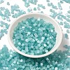Glass Seed Beads SEED-H002-D-A812-2