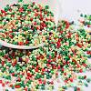 Baking Paint Glass Seed Beads SEED-S042-05B-51-1