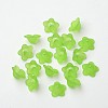 Transparent Acrylic Beads PL560-5-2